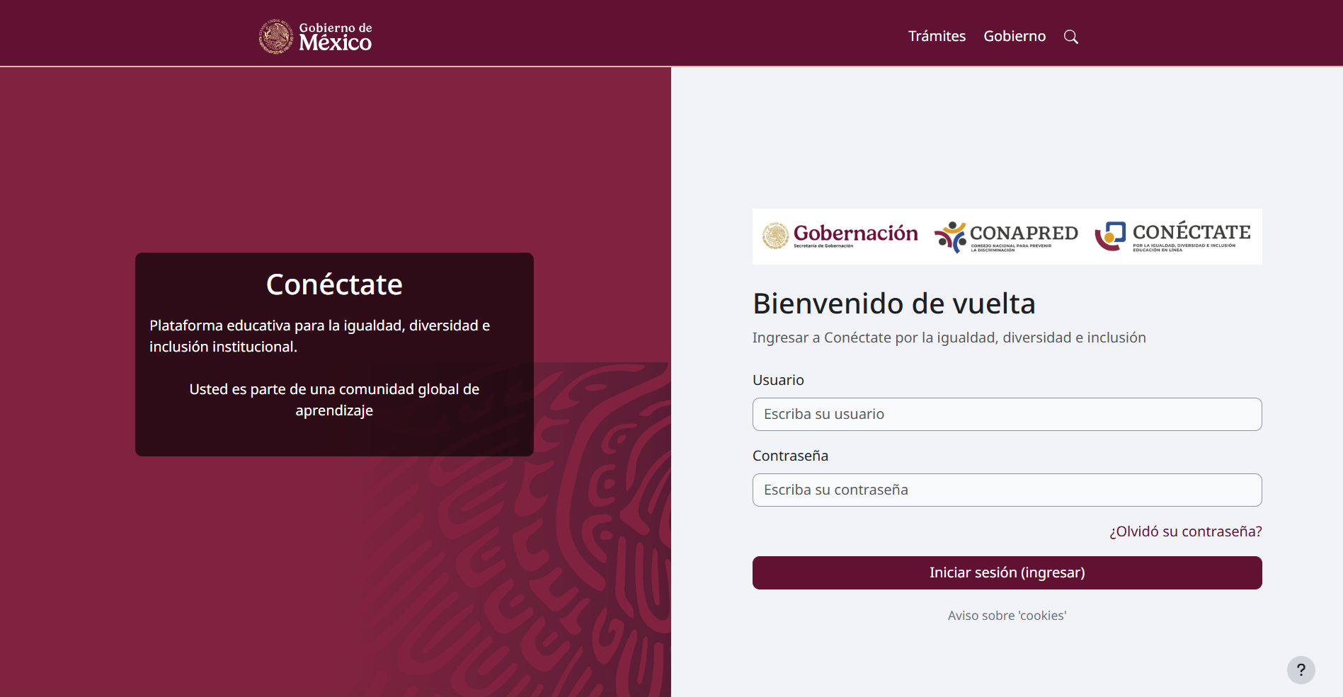 Plataforma CONÉCTATE
