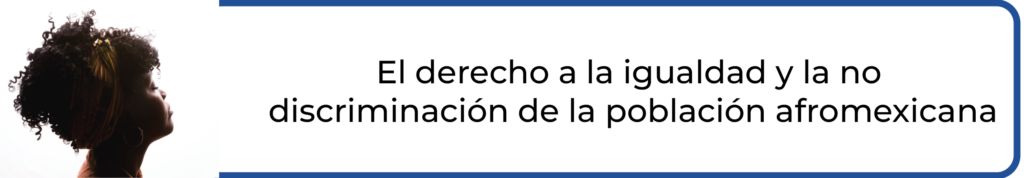 persona afromexicana